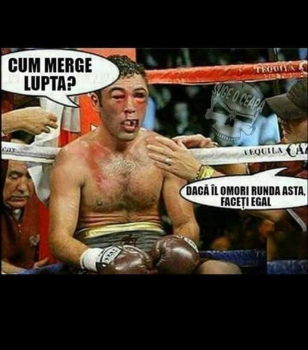 Se incarca...